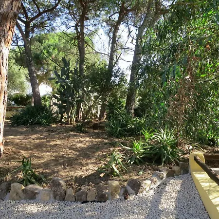 Cielo Terra Apartment
